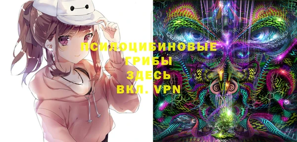 apvp Алексин