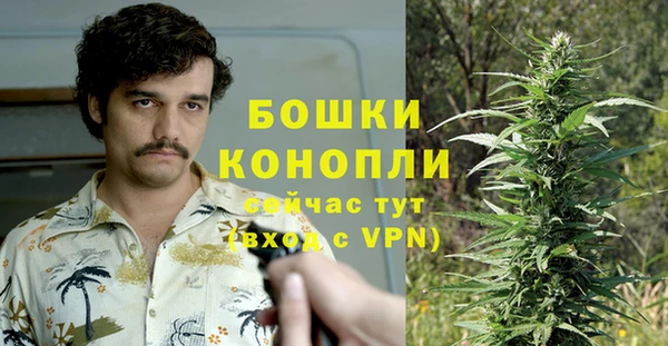 apvp Алексин