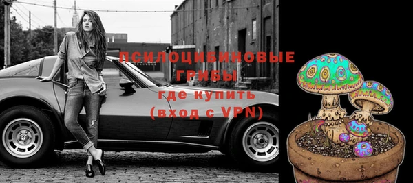 apvp Алексин