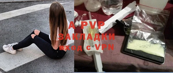 apvp Алексин