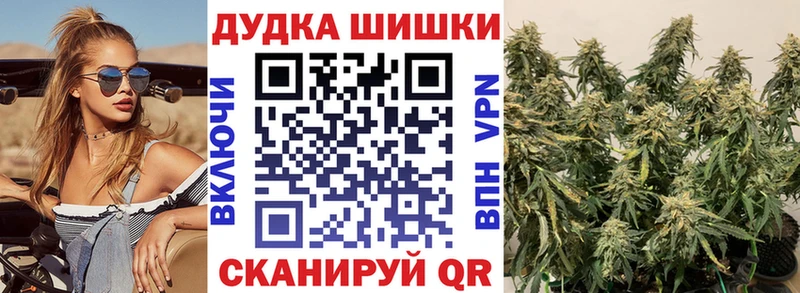 Бошки марихуана Ganja что такое Змеиногорск